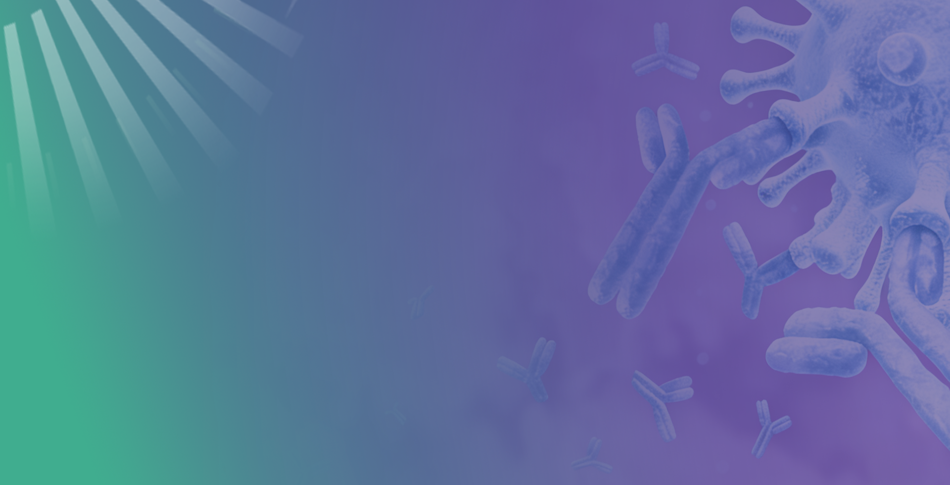 Bi-specific Antibody