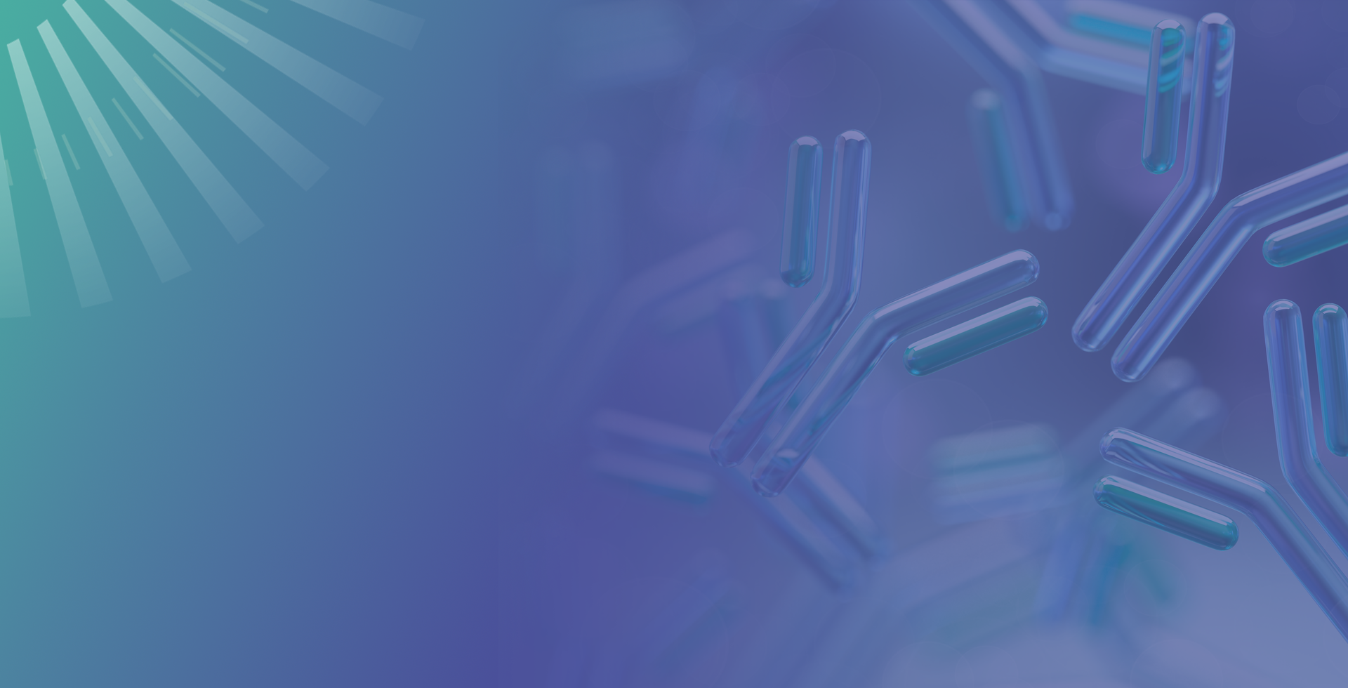 Recombinant Antibody  