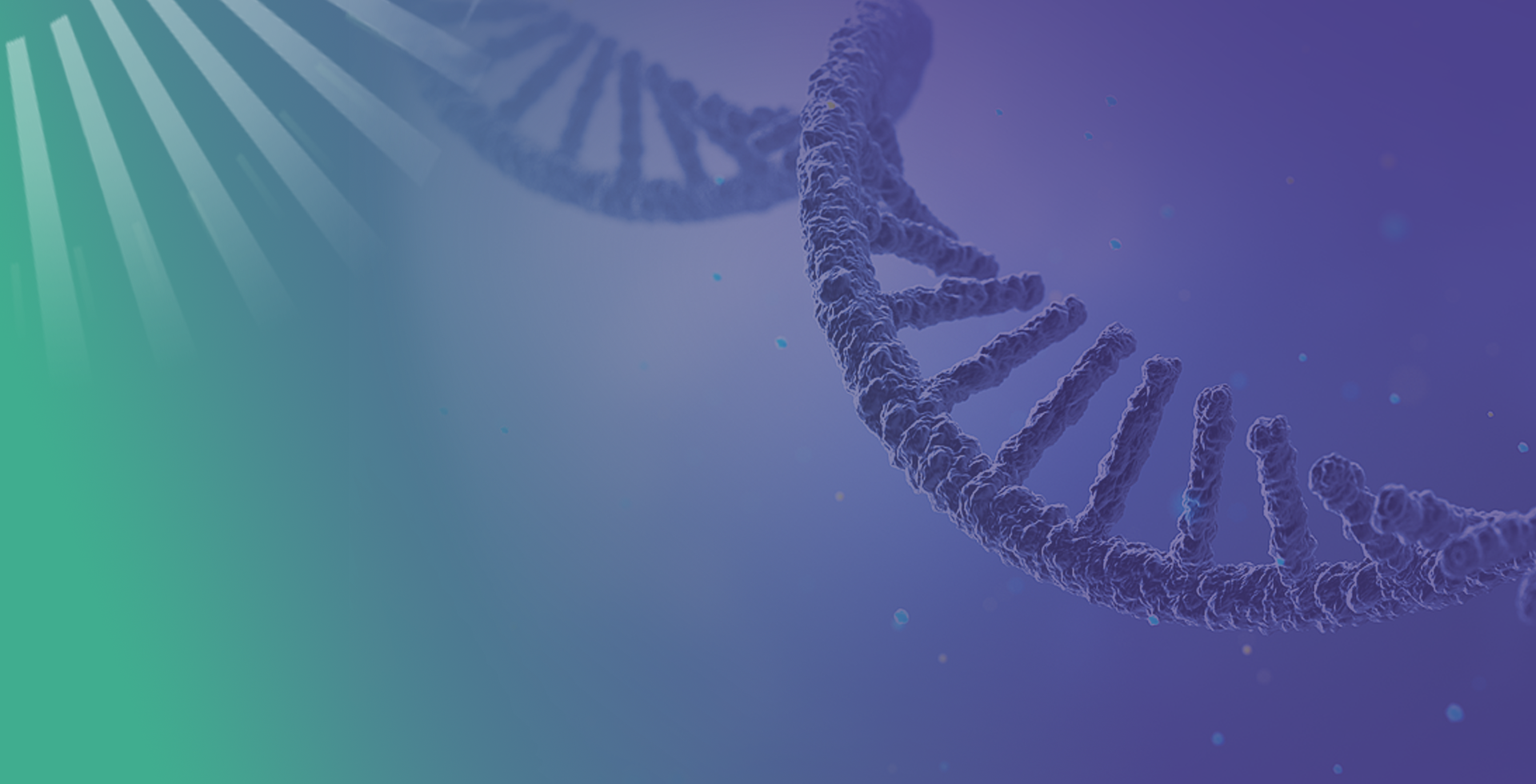 IVT mRNA Synthesis Service