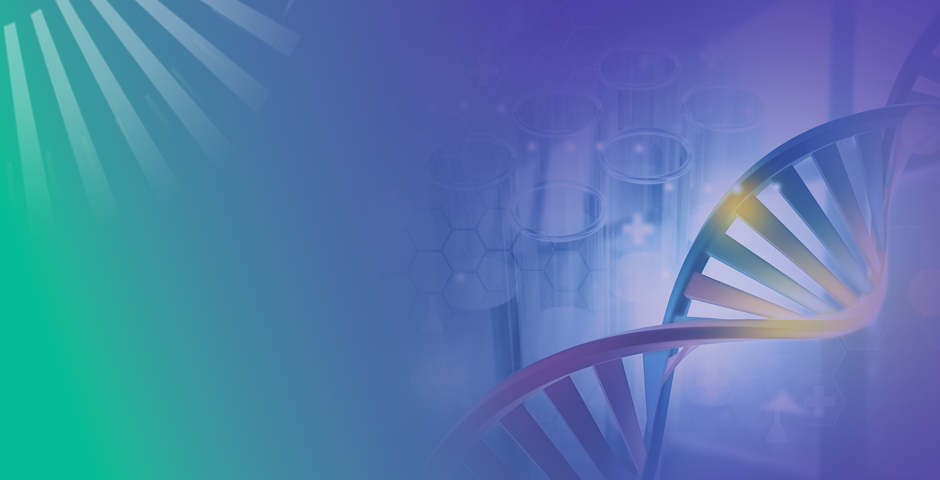 Whole Plasmid Sequencing