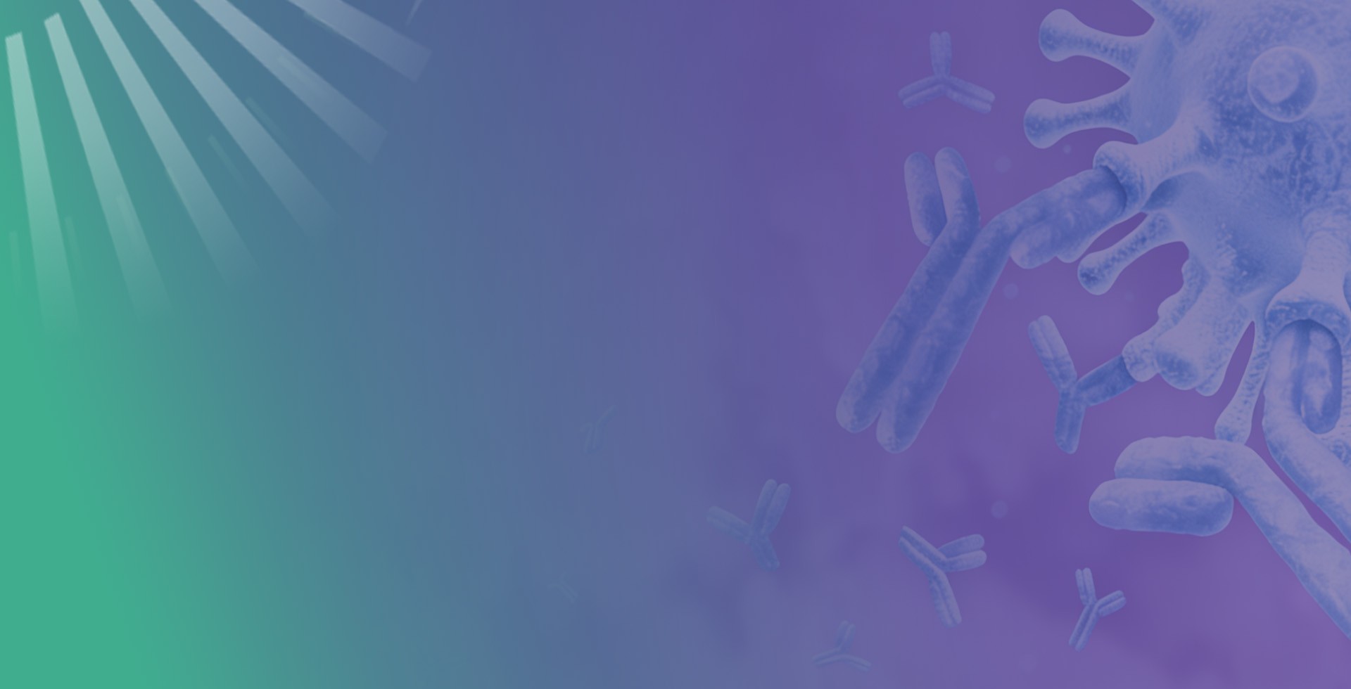 Bi-specific Antibody