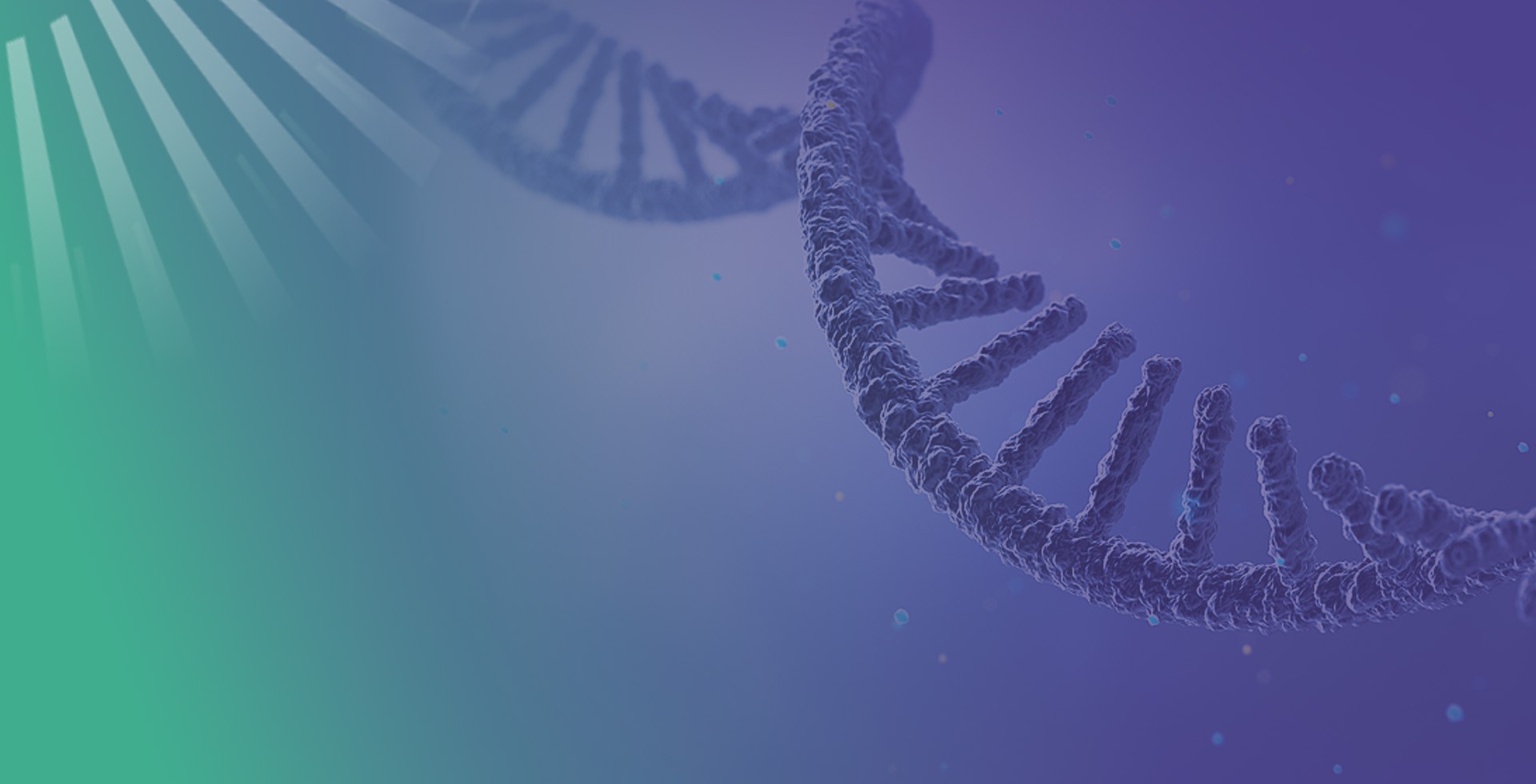 IVT mRNA Synthesis Service