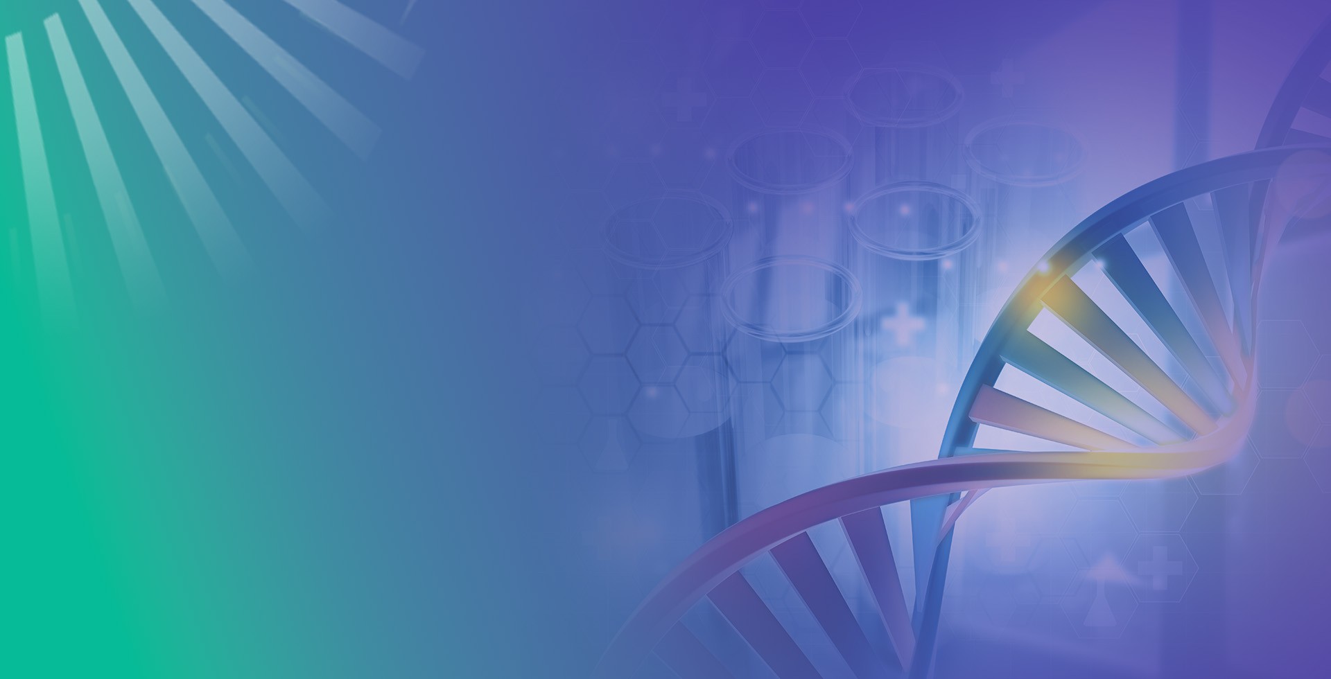 Whole Plasmid Sequencing