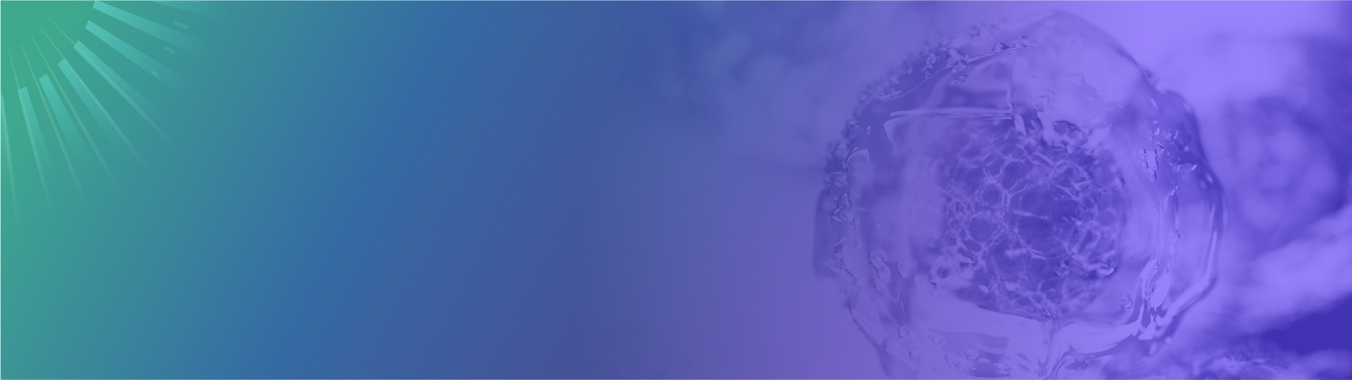 Subcloning and QuinDirect Cloning