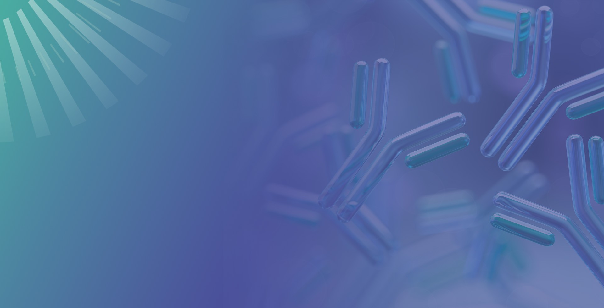 Recombinant Antibody  