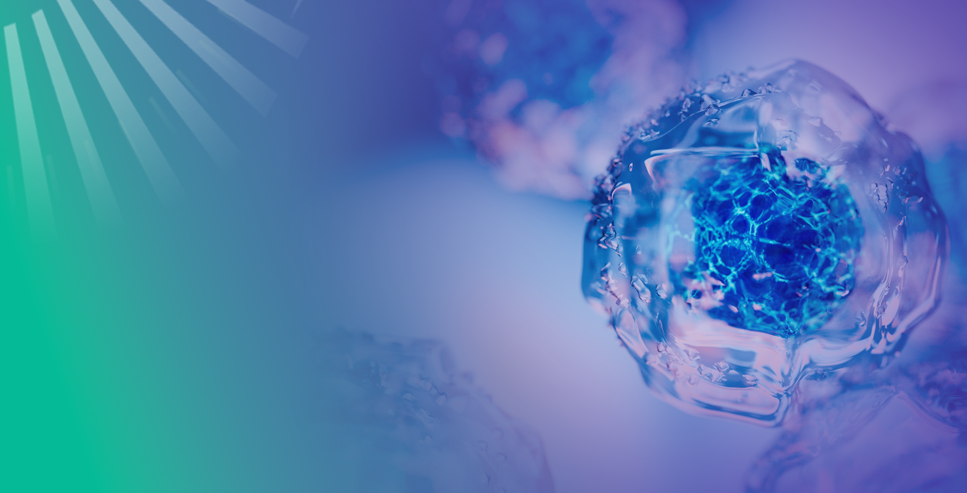 Single Cell Sequencing